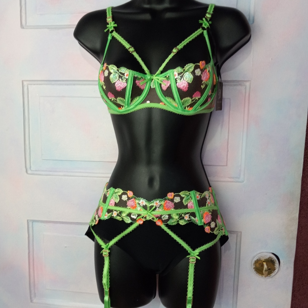GARTER BELT SOLD! Honey Birdette luxury lingerie 🍓 & 🌸 set! - Picture 14 of 16